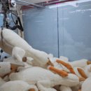 와와오락실 이미지