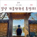 수라간 | 경남 밀양 가볼만한곳 위양지 외 10곳 총 정리