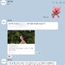 에르모쏘헤어 | [헤어변형/에르모쏘] 내돈내산 강추하는 업체 에르모쏘 헤어변형 지혜쌤 헤어변형 후기❤️👍(드레스별 머리...