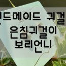 외얀간 네이버블로그
