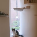 오뗄뒤샤 이미지