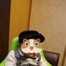 버드시아 이미지