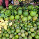 하이동농장 이미지