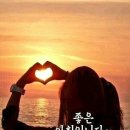 해돋이공인중개사사무소 이미지