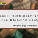 큐브311