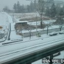 웅이네 농장 이미지