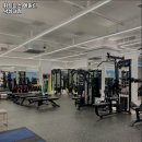 휘트니스 에일린 이미지