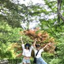 JH풀하우스 이미지