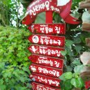 행복한사진연합