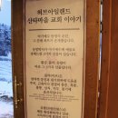 애견동화 이미지