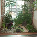 성애양로원 이미지