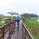 학여울길 이미지