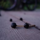 용천약수 이미지