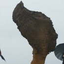 도마초등학교 이미지