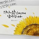 쩡샘아트스쿨