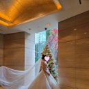 사파이어호텔 | [W.8] 롯데호텔서울 사파이어볼룸홀 실제 결혼식 후기 (리무진, 신부대기실, 홀사진, 꽃 장식 등)