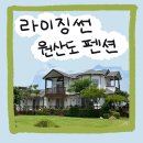 라이징 썬 | [리뷰/내돈내산] 원산도 라이징썬 펜션 방문기