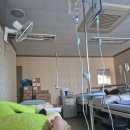 진아름다운피부과의원 이미지