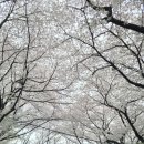 수봉궁도장 이미지