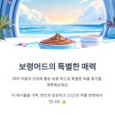 2025 충북 보령머드축제 일정과 즐길거리 가이드