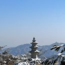 (유)양지건설 | 관상가 박성준 추천 올해 꼭 가야할 등산 코스 l 서울대건설환경종합연구소~관악산 연주대 후기