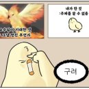 비치수산회센터