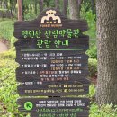 충청남도산림박물관 | 아산 영인산 산림박물관 후기! 초1 아이와 무료로 즐긴 최고의 실내 체험관
