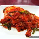 돌고래식당 이미지