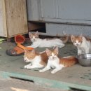 장암농장 이미지