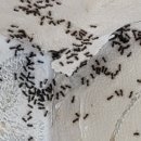 도봉-도봉-서울도봉-2349 이미지