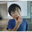 견우농장 이미지