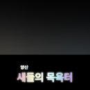 양산머리방