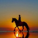 훼밀리승마클럽 이미지