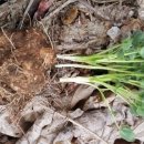 예정농장 이미지