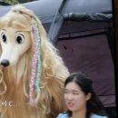 배밭포차 네이버블로그