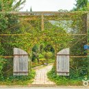 국도17호선 | [전라남도 구례군] 천개의향나무숲 - 전 견종 가능 · 맹견 입마개 · 목줄 착용 · 배변봉투 지참