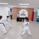 선강태권도장 이미지