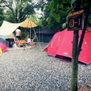 호두나무캠핑장 이미지