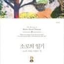 소로 소로 이미지