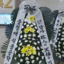 효성성모병원 이미지