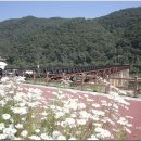 화천꺼먹다리 이미지