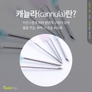 일미리성형외과의원 이미지