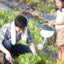 둔수농장 이미지