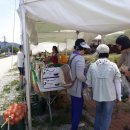 여러가지장터 이미지