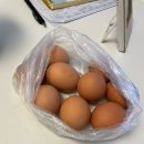 아이미래로 부천지사 | 부천 아이미래로 산후도우미 이용 후기