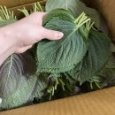 서진농장2 이미지