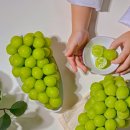 윤채농장 이미지