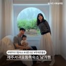 제주서귀포동쪽남원 아기랑 가기 좋은 숙소 에어비앤비 남가원 독채숙소 내돈내산 후기