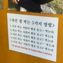 화랑로 R | 경주 1박2일 여행루트 (얼굴빵 mz샷, 대릉원, 현대밀면, 동궁과월지)