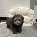 멜로디펍스 이미지